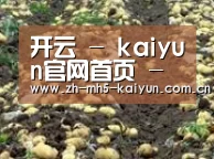 种植基地七