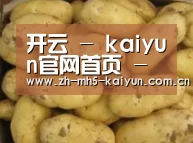产品展示标题6