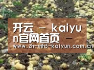 种植基地八(图1)