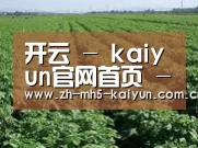 种植基地五(图1)