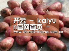 产品展示标题5(图1)