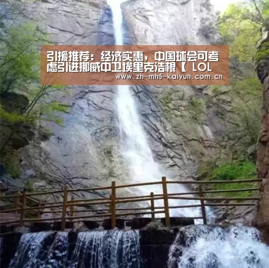 引援推荐:经济实惠,中国球会可考虑引进挪威中卫埃里克浩根【 LOL直播】(图1) LOL直播