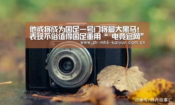  电竞官网