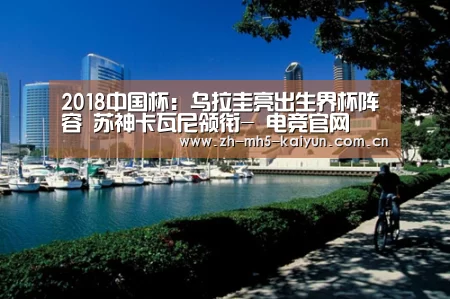 2018中国杯:乌拉圭亮出生界杯阵容 苏神卡瓦尼领衔- 电竞官网(图1) 电竞官网