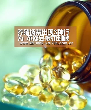  电竞官网