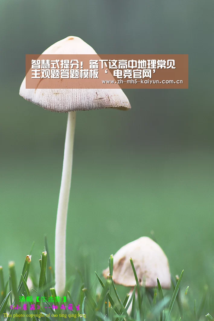 智慧式提分!备下这高中地理常见主观题答题模板‘ 电竞官网’(图1) LOL直播