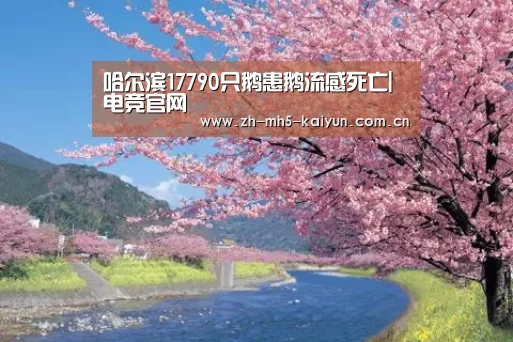 哈尔滨17790只鹅患鹅流感死亡| 电竞官网(图1) 开云电竞