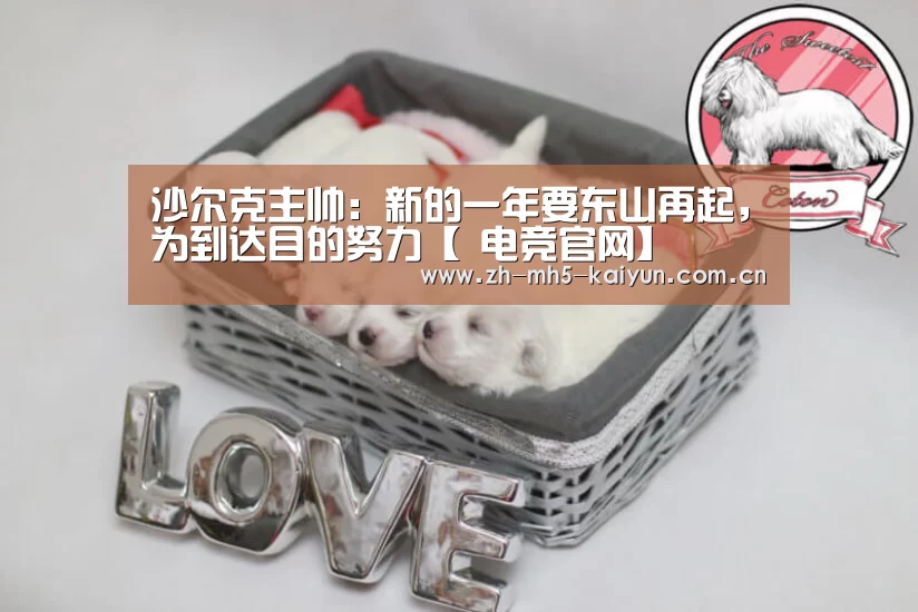 沙尔克主帅:新的一年要东山再起,为到达目的努力【 电竞官网】(图3) LOL直播