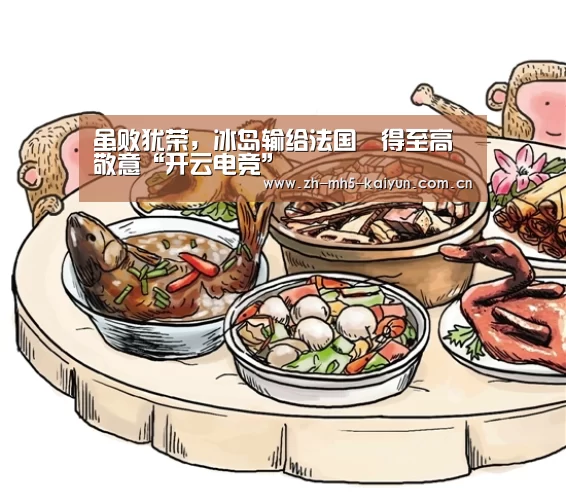 虽败犹荣,冰岛输给法国贏得至高敬意“开云电竞”(图4) LOL直播