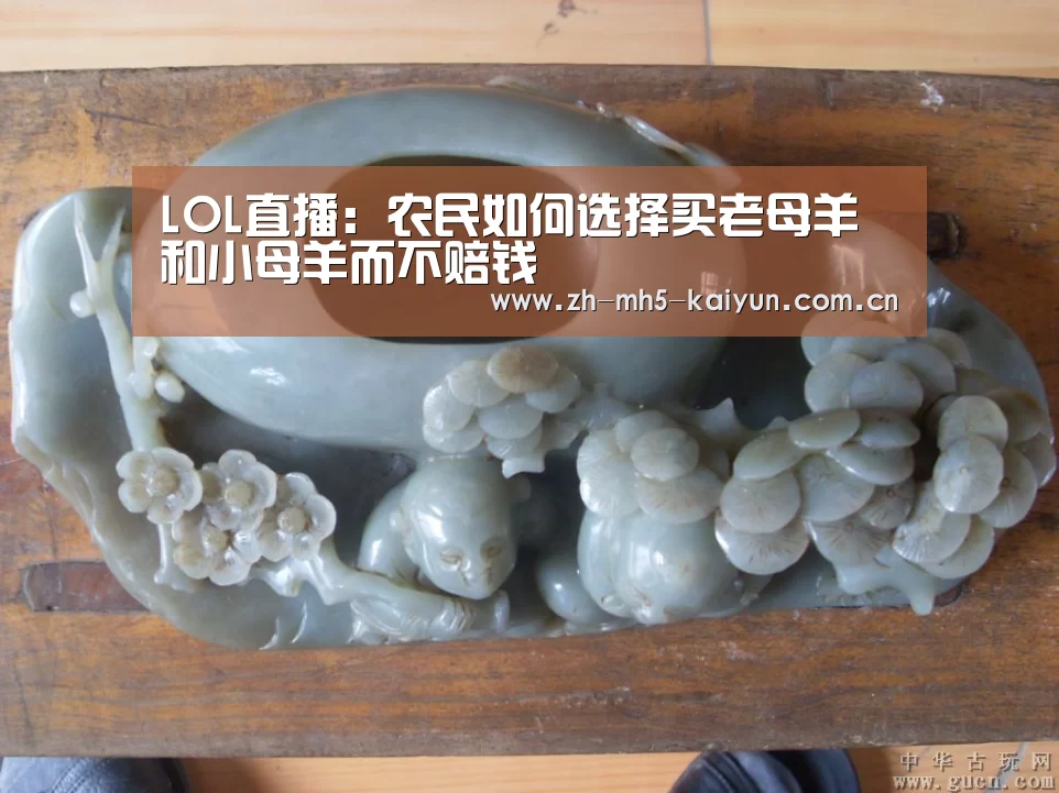  电竞官网